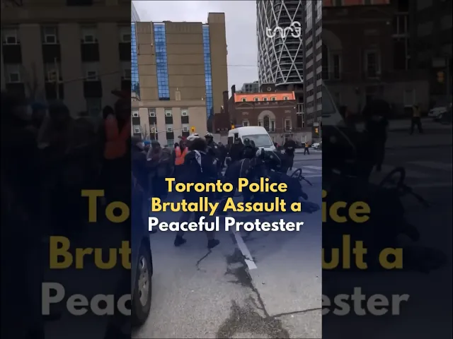 ⁣Toronto Police assaulting a pro-Palestine protester. One officer had knee to the protester's neck.