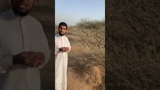موسم عسل السمر ١٤٤٢ دندنها