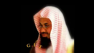 الجزء الثانى عشر بصوت القارى الشيخ سعود الشريم 