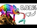 Channel