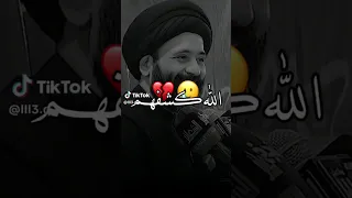 الله يكشفهم الك سيد علي الطالقاني حالات واتساب جميلة وراقيه جدا 