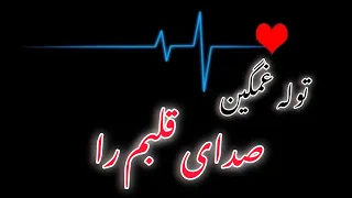 توله نی غمگین آهنگ صدای قلبم را شنو به گوش دل 