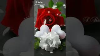 صباحيات جميله 