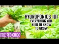 Hydroponics 101 A BEGINNERS GUIDE TO EVERYTHING YOU NEED AND NEED TO KNOW TO GROW PLANTS IN WATER