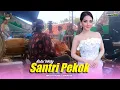 Lagu Lala Widy - Santri Pekok - Kencana Wungu Campursari ( Stage Cam )