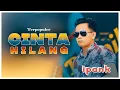 Download Lagu IPANK - CINTA HILANG (Official Lyric Video)