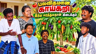 இந்த வீடியோ ஃபுல்லா பாருங்க சிரிச்சுக்கிட்டே இருப்பீங்க 🤣| Pana Pazham
