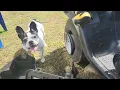 How to replace starter on Craftsman Kholer Courage 20hp DYT4000 917 275660