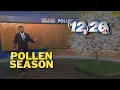 Pollen ramping up in Augusta