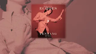 romantic echoes tentang bunga video lirik 
