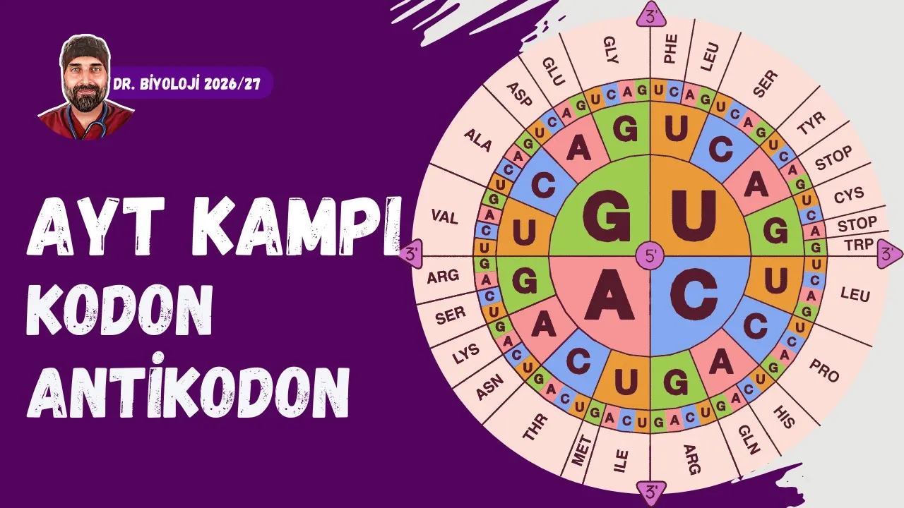 Kodon Antikodon İlişkisi | Dr. Biyoloji | AYT Dönem 2026 - 2027