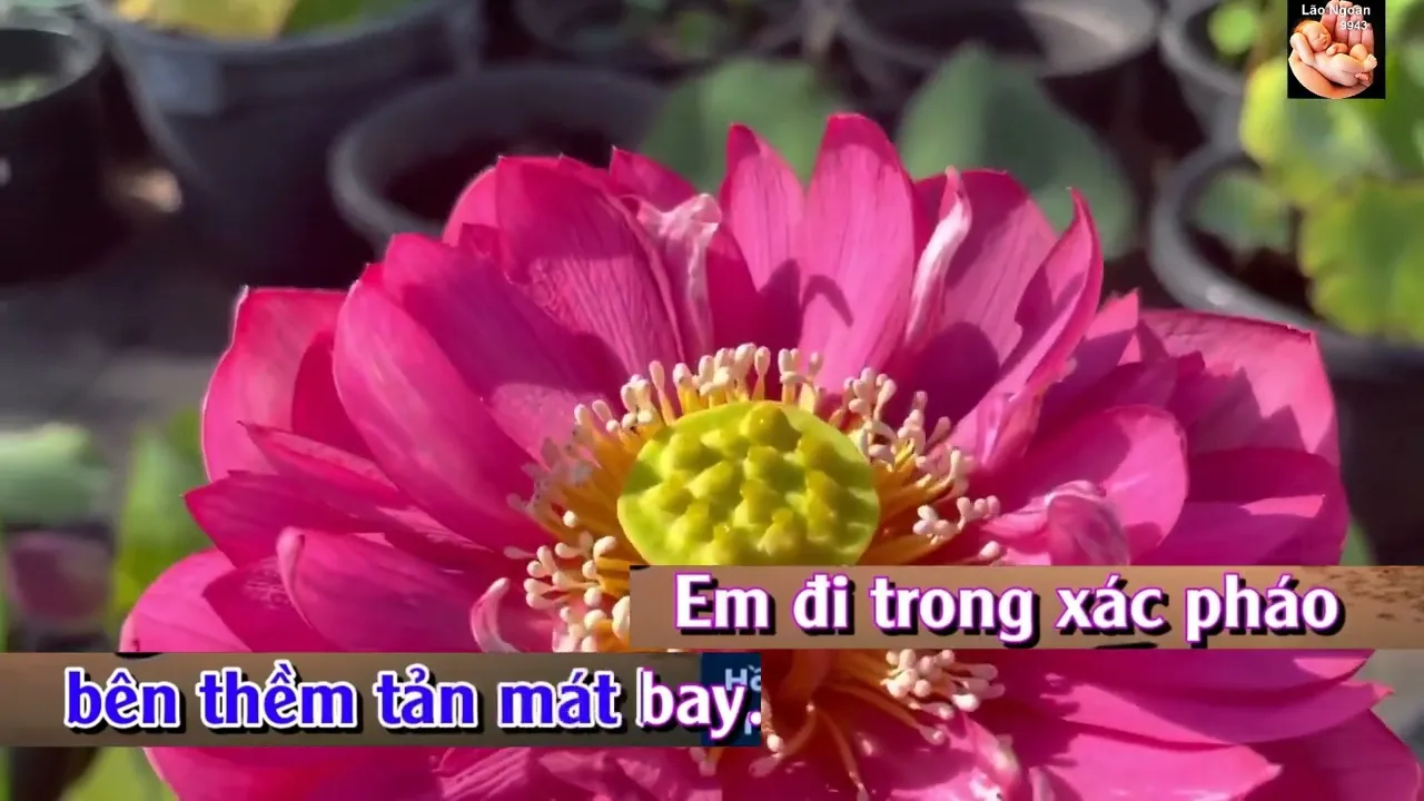 Tà áo xanh 
