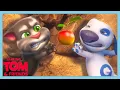 Download Lagu Son Elma! | Talking Tom Shorts | WildBrain Çocuklar