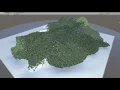 Unity tree growth test