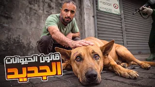 قتل الكلاب فالمغرب: قانون 19.25، مونديال 2030, وواش ولا ممنوع توكل حيوان فالزنقة ؟