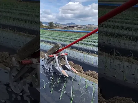 What are you setting up over the field #shortvideo