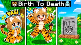 Birth to Death of A TIGER...