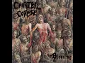 Download Lagu Cannibal Corpse - The Bleeding (Full Album)