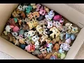 HUGE LPS Ebay Package LPS Lot Haul