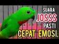 Download Lagu PANCINGAN SERINDIT SUARA JOSSS PASTI CEPAT EMOSI