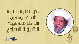 مثل الكلمة الطيبة  ألم تر كيف ضرب الله مثلا كلمة طيبة    تفسير الشعراوي دندنها