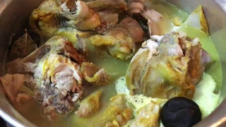 طبخ الباجه العراقية ع اصولها 