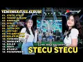 Download Lagu Stecu Stecu,Tombo Kangen - Yeni Inka Feat Yesa Oktavia Full Album 2025 Lagu Jawa Dangdut Koplo