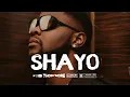 Kizz Daniel x Adekunle Gold  Type Beat "SHAYO" Afrobeat Instrumental 2024
