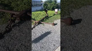 #fyp #doberman #pets #life #vlog
