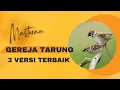 Download Lagu Masteran Gereja Tarung 3 versi Terbaik 2023