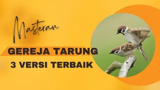 Download Masteran Gereja Tarung 3 versi Terbaik 2023 MP3