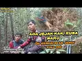 Download Lagu Ada jejak kaki rusa baru di pengecekan jerat kali ini #BERBURUKALIMANTAN #berburu #hutan #kalimantan