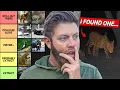 26 Extinct Animals I Believe Could Still Be Alive