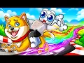 Download Lagu Going 1,926,472 MPH in Roblox Pet Racer