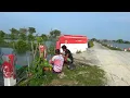Download Lagu Ikan mas liar disungai melimpah dimana²!! Cukup mancing di samping jembatan dapat banyak ikan 