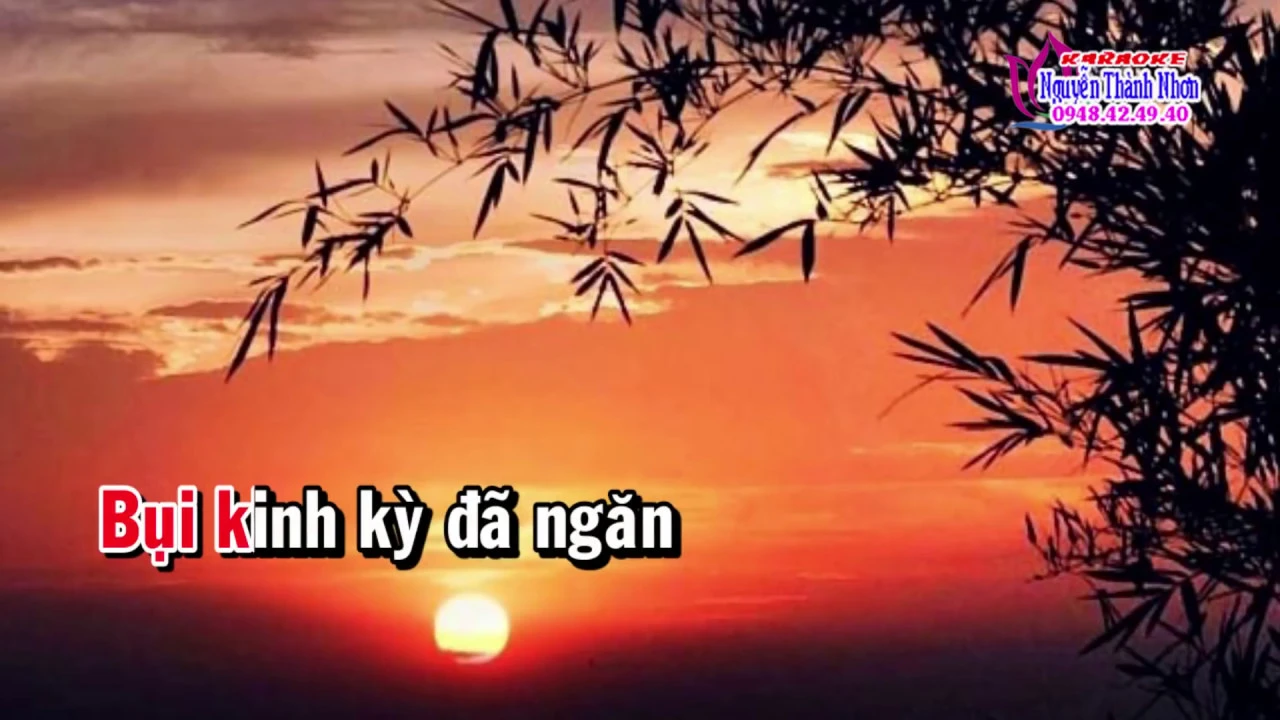 Karaoke vọng cổ KIẾP CẦM CA - ĐÀO [Viễn Châu]