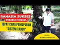 Lagu Rahasia Sukses Pemupukan “Sistem Tabur” | Oleh : Djend. Muhayat