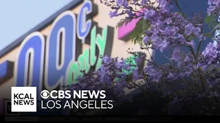 Dozens of 99 Cents Only stores in Southern California will reopen as Dollar Tree