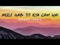 Akele Hain To Kya Gum hai [ Slow Version ] | Slowed Reverb | Qayamat Se Qayamat Tak