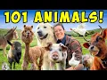 Morning Chores FARM TOUR Meet All My Animals