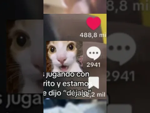 es un alan walker bro...😨 #perros  #hablandoclaro  #humorviral  #clips  #comentarios