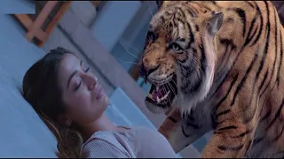 راجل اتجوز سبع مرات وقتلهم كلهم واخر وحده حبسها مع نمر مفترس 