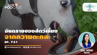 สุนัขที่มีพฤติกรรม 'ตะกละ' คืออะไร และมีความเสี่ยงอย่างไรต่อสุขภาพ?