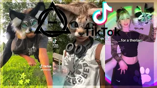 Therian, Quadrobics, & Kemonomimi TikToks || Compilation 🐾🪱🪲|| Alterhumans of TikTok #92