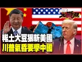 Download Lagu 習近平稀土、大豆雙殺 民心所向硬剛到底！川普打不贏就抄中 美國特色資本主義「揮刀自宮」【#環球大戰線】20251017-P1 葉思敏 張延廷 聶建中 楊永明 栗正傑