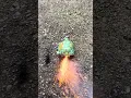Mr turtle firework take 2