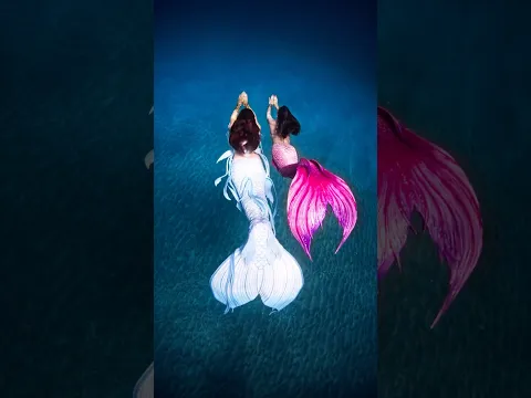 Mermaid friends are forever ♾️ #mermaid #ocean #h2o #travel #underwater #diving #swim #mermaidtail