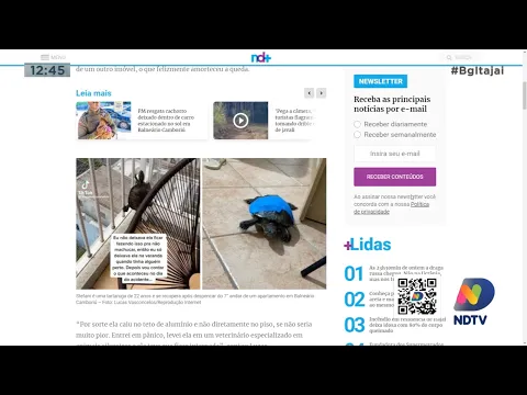 Tartaruga cai do sétimo andar de um prédio em Balneário Camboriú