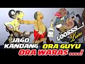 Download Lagu DERR...Bagong lucu jago kandang,ora guyu ora waras loosss lucu
