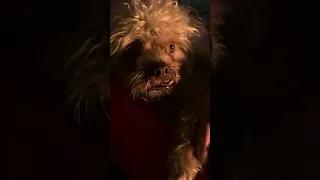 Watch the full video!